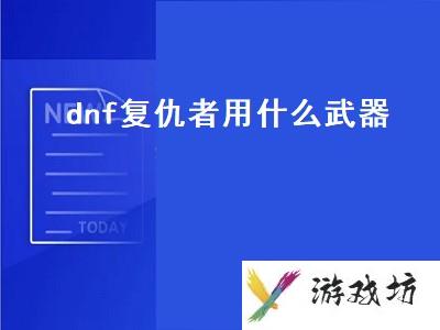 dnf复仇者用什么武器（dnf复仇者用什么武器好）