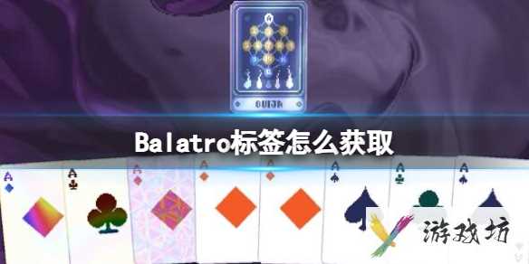 《Balatro》标签怎么获取？