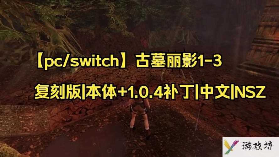 古墓丽影9中文补丁-古墓丽影9中文补丁包  第1张