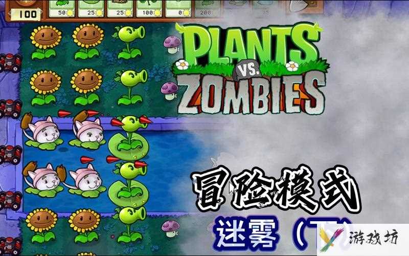 植物大战僵尸2011-植物大战僵尸2011年度版  第1张