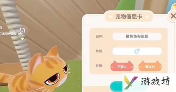 《心动小镇》养猫攻略一览