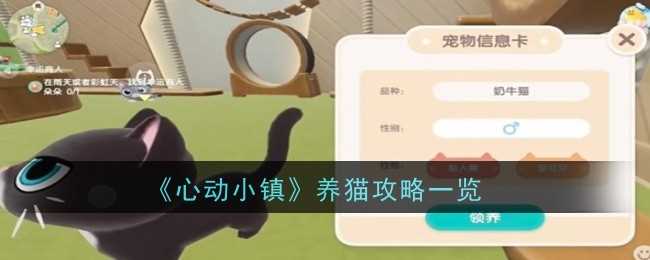 《心动小镇》养猫攻略一览