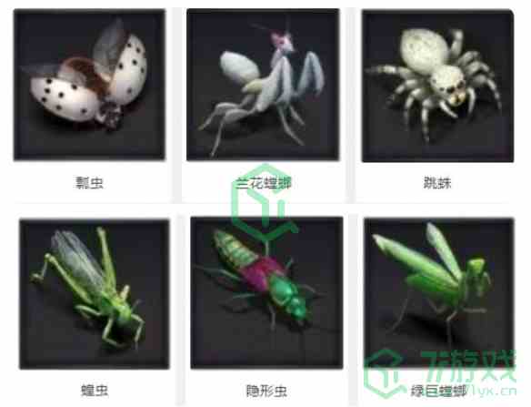 《小小蚁国》野外生物汇总介绍