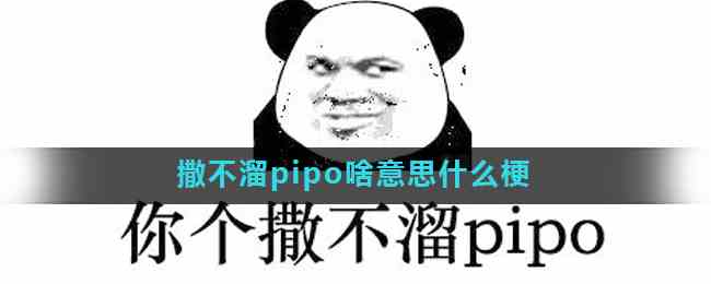 撒不溜pipo啥意思什么梗