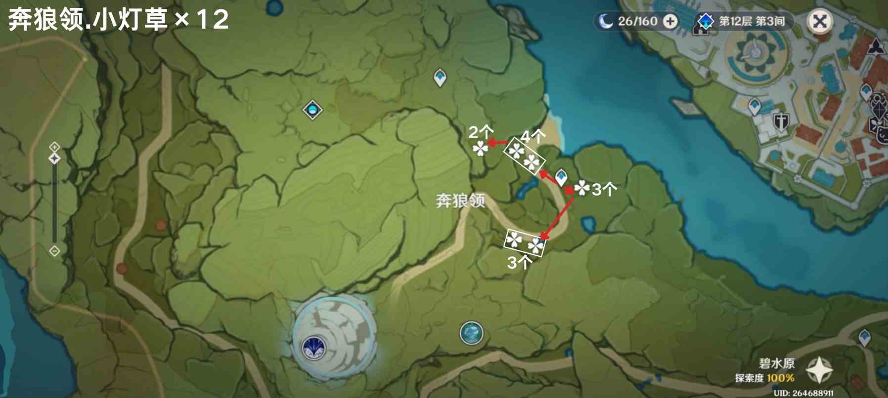 《原神》4.5“小灯草”采集路线分享