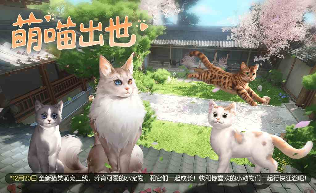 今年最后一个超级大服“绝世霸刀”即将开启，还有猫咪萌宠抢先看