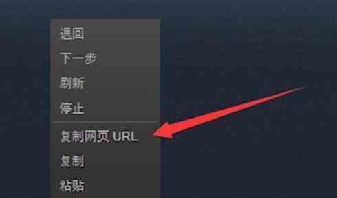 steam手机版个人链接在哪里查看和获取