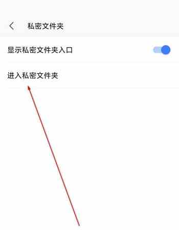 WPS office怎么进入私密文件夹