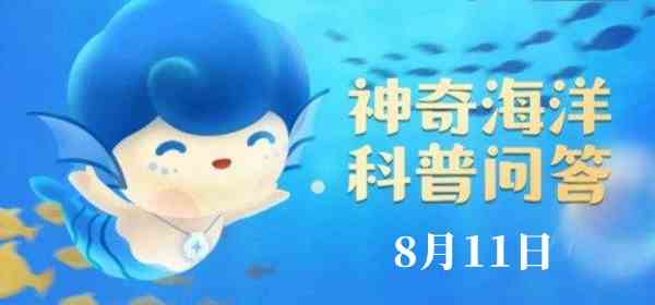 神奇海洋今日答案8.11：哪种鱼能同时适应海水和淡水