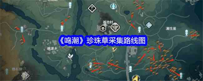 《鸣潮》珍珠草采集路线图