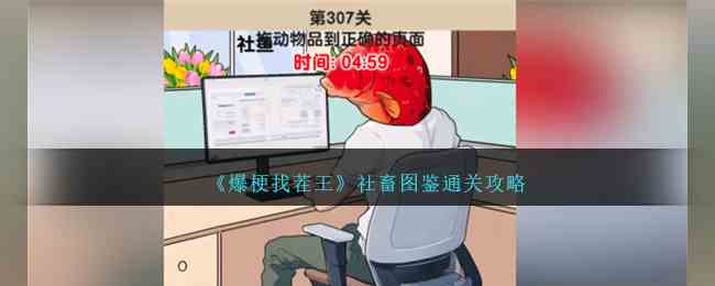 《爆梗找茬王》社畜图鉴通关攻略