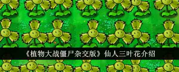 《植物大战僵尸杂交版》仙人三叶花介绍