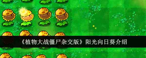 《植物大战僵尸杂交版》阳光向日葵介绍