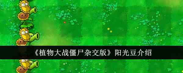 《植物大战僵尸杂交版》阳光豆介绍