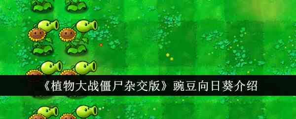 《植物大战僵尸杂交版》豌豆向日葵介绍