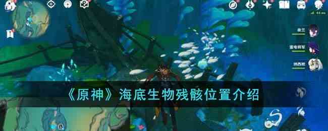 《原神》海底生物残骸位置介绍