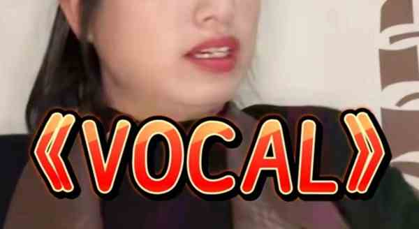 vocal梗意思介绍