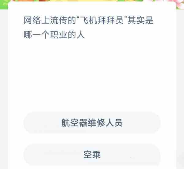 网络上流传的飞机拜拜员其实是哪一个职业的人