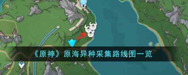 《原神》原海异种采集路线图一览