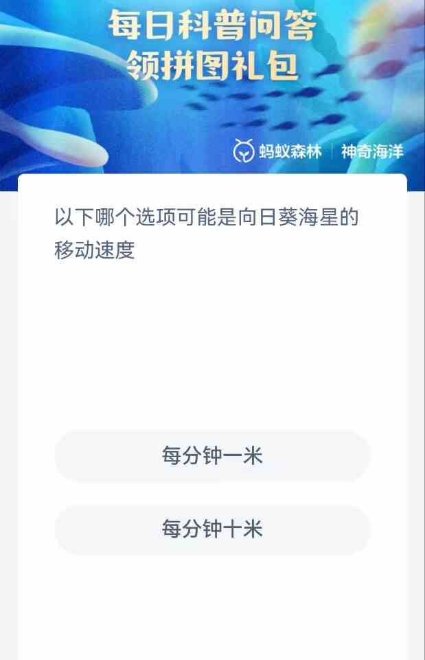 以下哪个选项可能是向日葵海星的移动速度