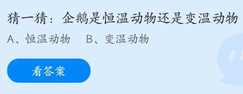 企鹅是恒温动物还是变温动物