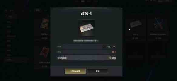 《pubg》改名卡商城购买介绍3