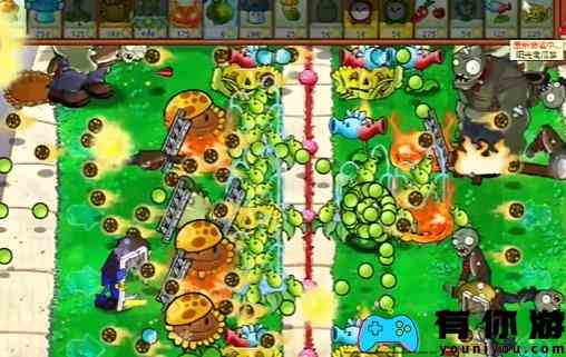 PVZ杂交版益智模式继续夹击图文通关流程