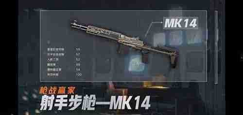 《暗区突围》MK14射手步枪测评