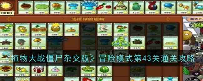 《植物大战僵尸杂交版》冒险模式第43关通关攻略