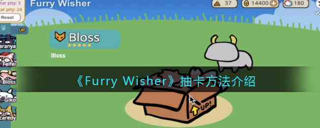 《Furry Wisher》抽卡流程推荐