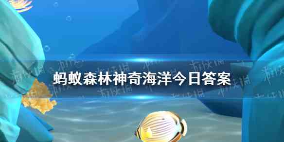 支付宝蚂蚁森林神奇海洋9月8日答案