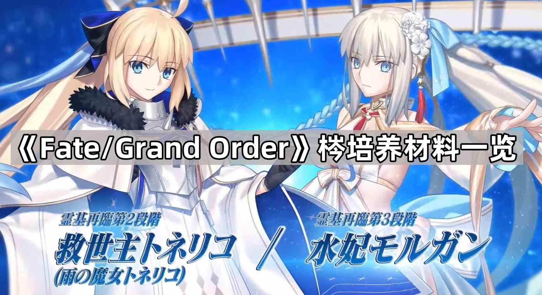 《Fate/Grand Order》梣培养材料一览