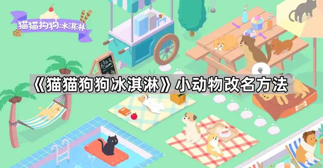 《猫猫狗狗冰淇淋》小动物改名方法