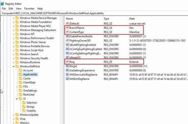 HKEY_LOCAL_MACHINE\\SOFTWARE\\Microsoft\\WindowsSelfHost\\Applicability