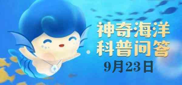 神奇海洋今日答案9.23：鹦鹉螺是海螺吗