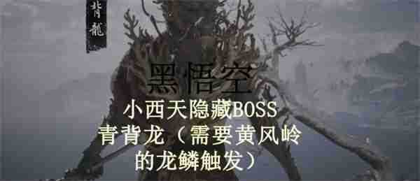 黑神话悟空青背龙在哪 隐藏妖王boss青背龙位置攻略