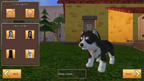 美国ZOOM动物(Dog Simulator Animal Life)