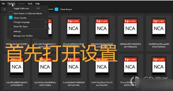 塞尔达传说王国之泪模拟器设置中文 塞尔达传说王国之泪模拟器设置在哪