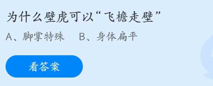 为什么壁虎可以飞檐走壁