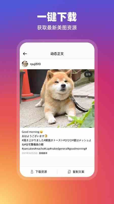 instagram安卓版官方版