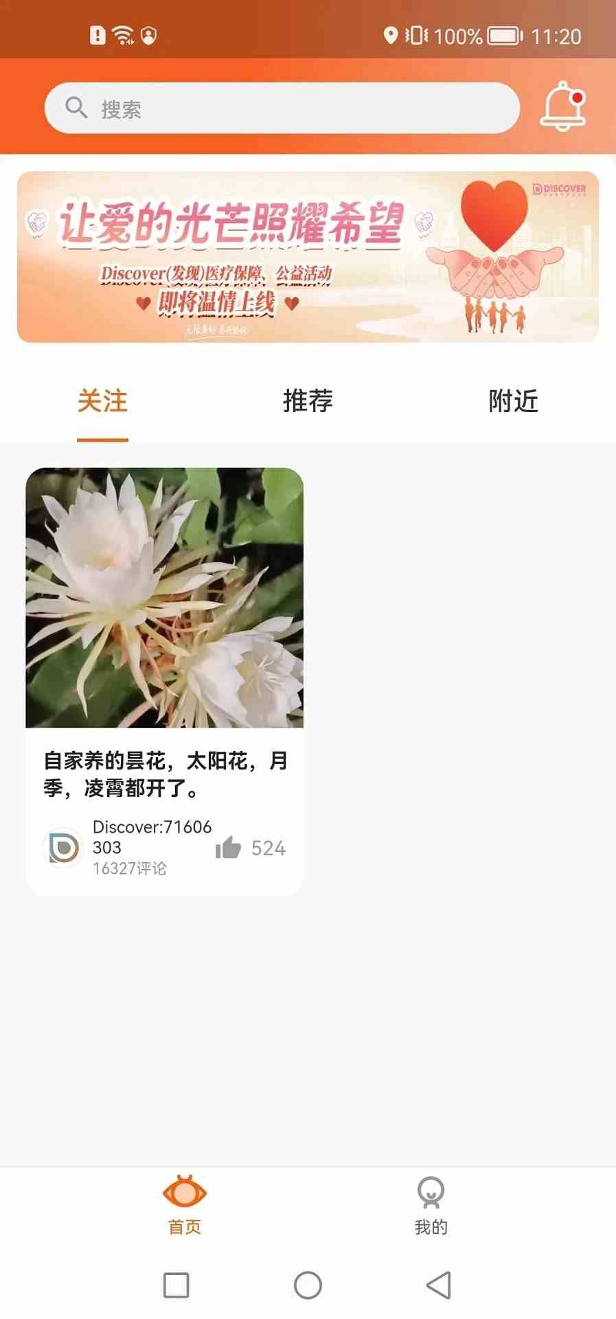 发现app