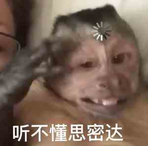 《抖音》听不懂思密达梗的意思介绍