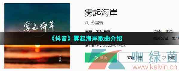 《抖音》雾起海岸歌曲介绍