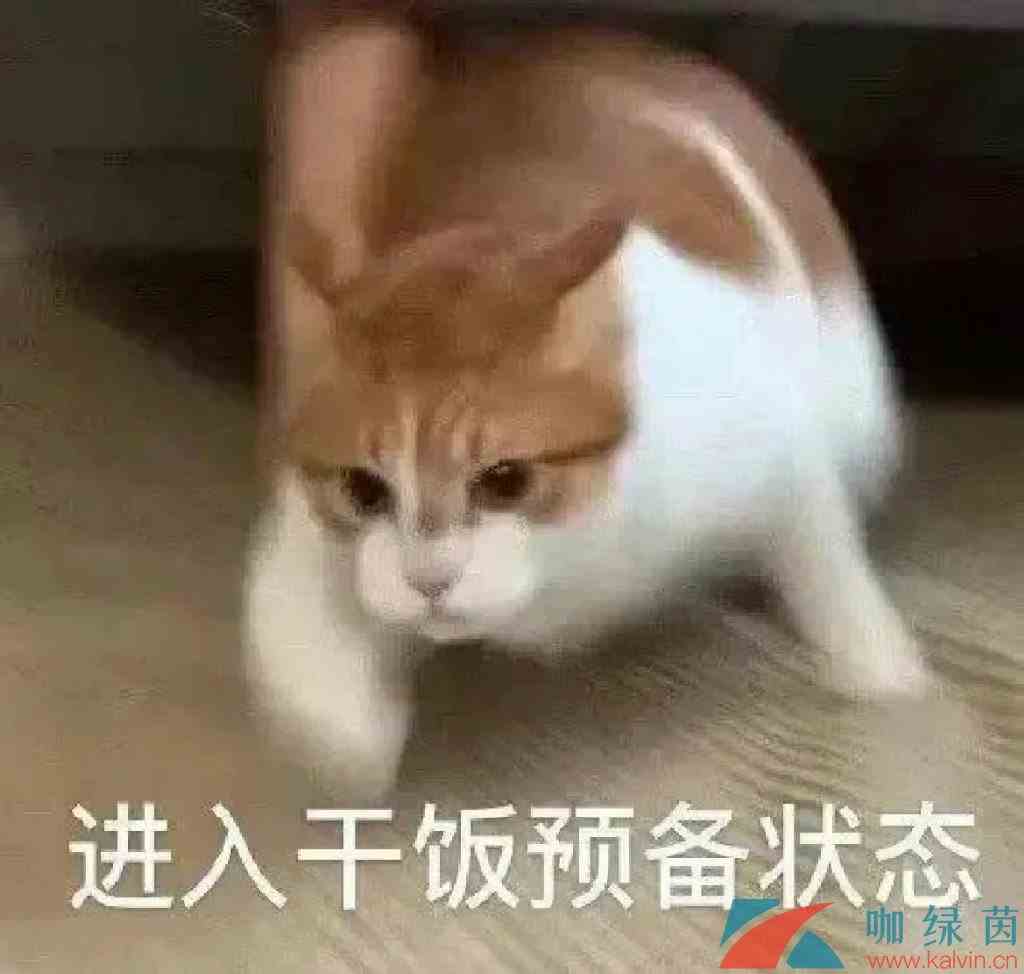 《抖音》happyhappyhappy猫梗的意思介绍