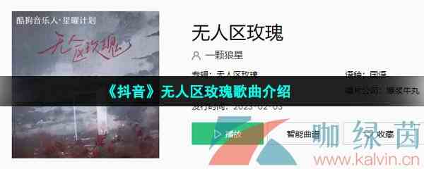 《抖音》无人区玫瑰歌曲介绍