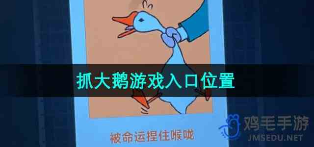 《抓大鹅》游戏入口位置