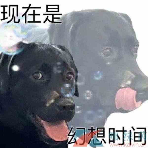 网络用语现在是幻想时间梗的意思介绍