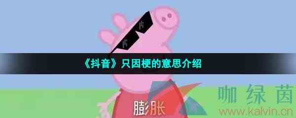 《抖音》只因梗的意思介绍