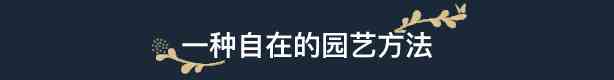 花园生涯模拟佛系生活有什么特色内容 花园生涯：模拟佛系生活游戏特色内容介绍图3