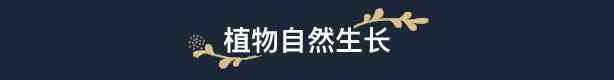 花园生涯模拟佛系生活有什么特色内容 花园生涯：模拟佛系生活游戏特色内容介绍图9